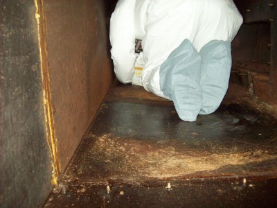Empresa Especializada em Limpeza e Higienização de Cozinhas