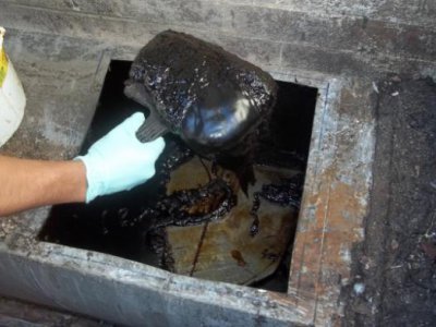 Empresa Especializada em Limpeza e Higienização de Cozinhas
